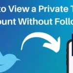 How to View a Private Twitter Account without Following